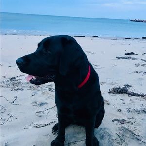 Meet your Posher, Stacy